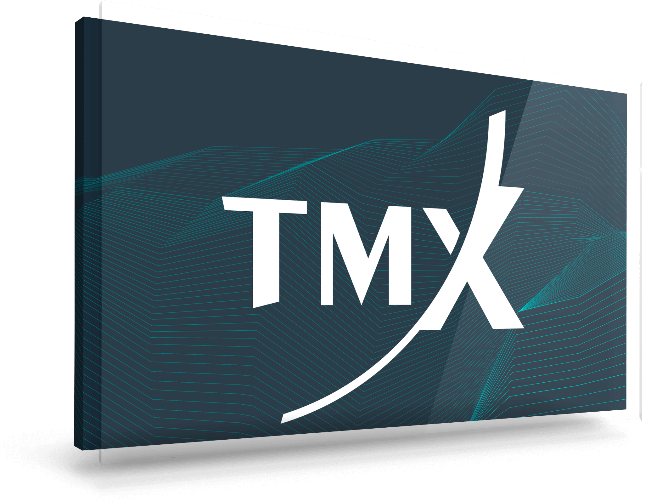 TMX screen (1)