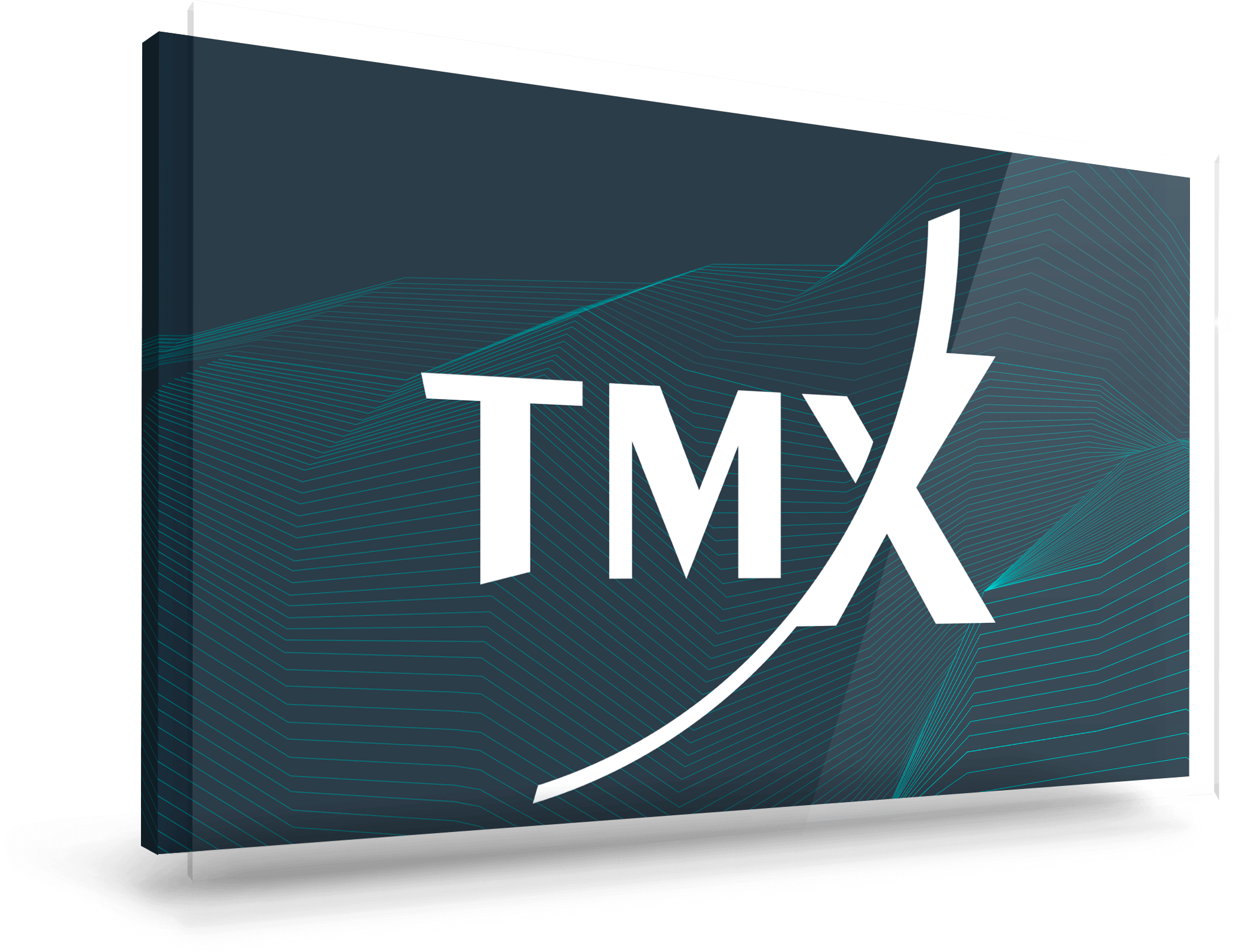 TMX screen